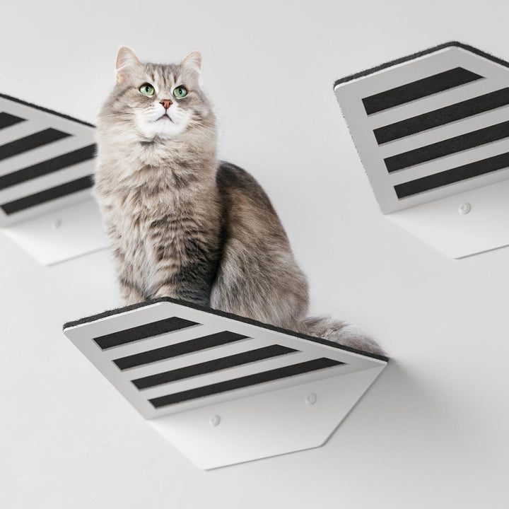 Cat Shelf Instruction